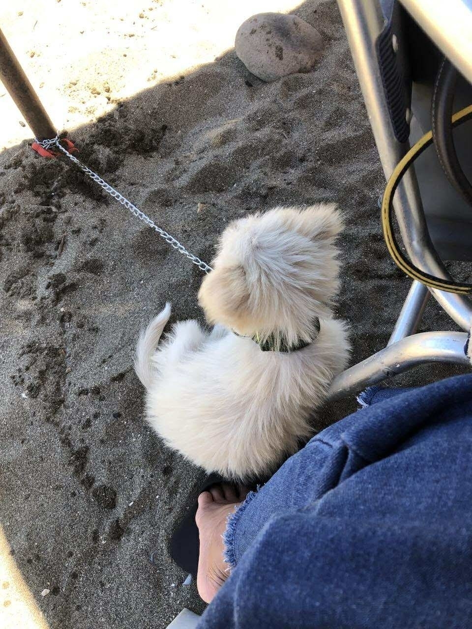 Ella