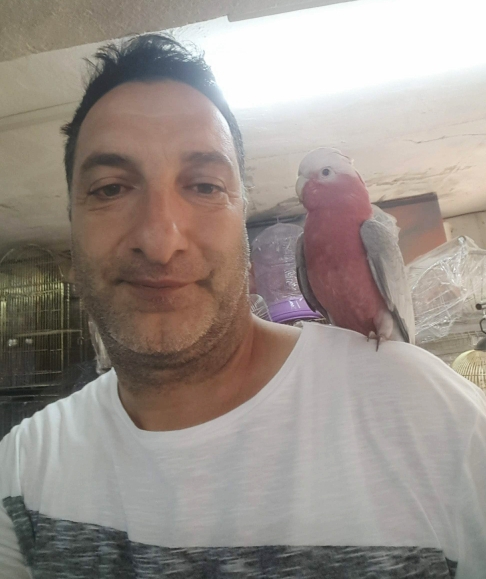 BÜLENT