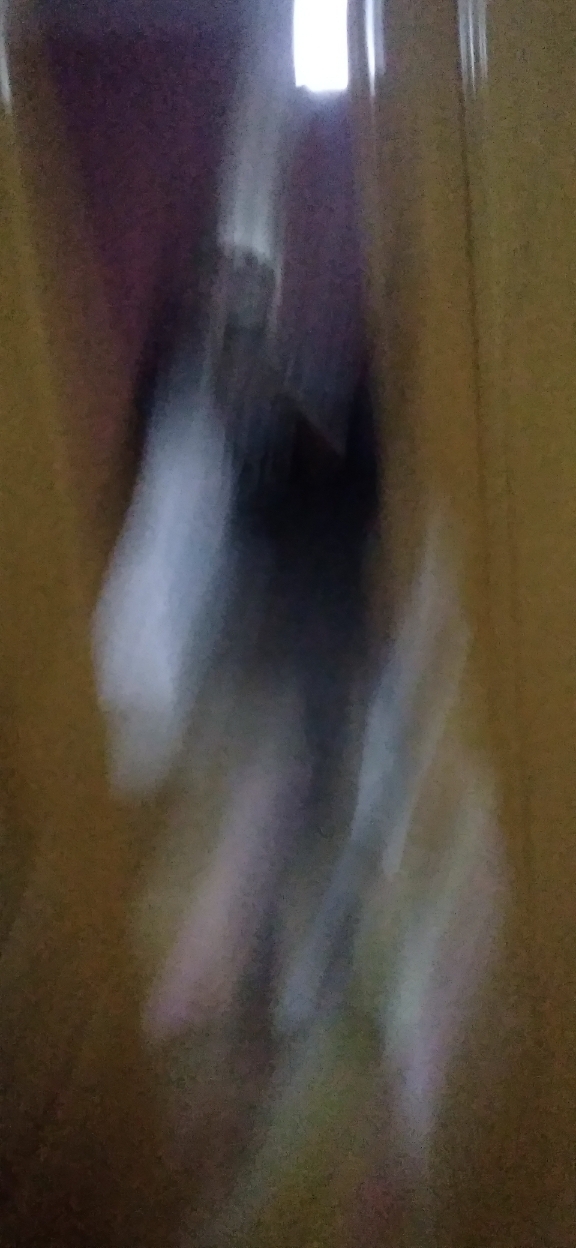 Soykan