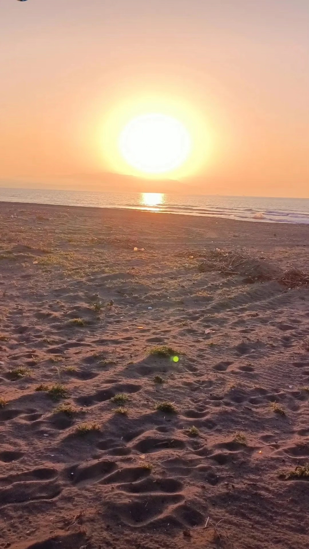 Deniz
