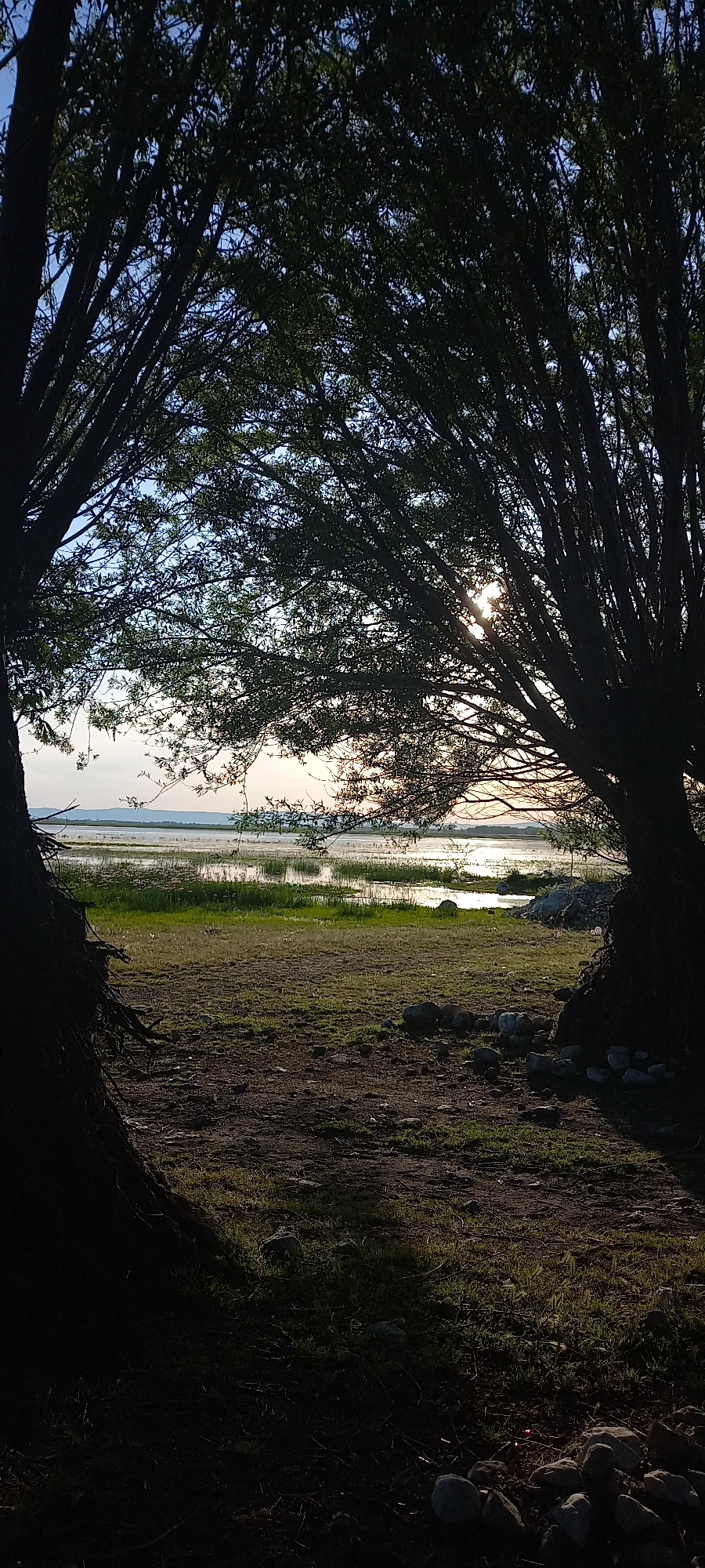Makbule