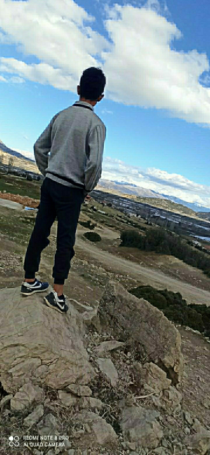 Bekir