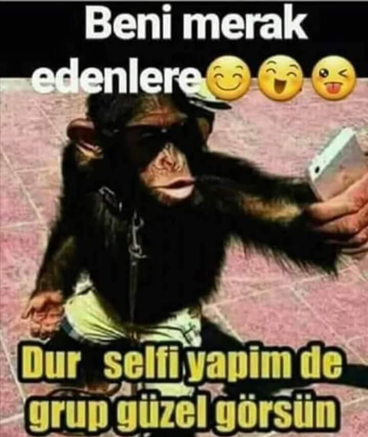 Buse