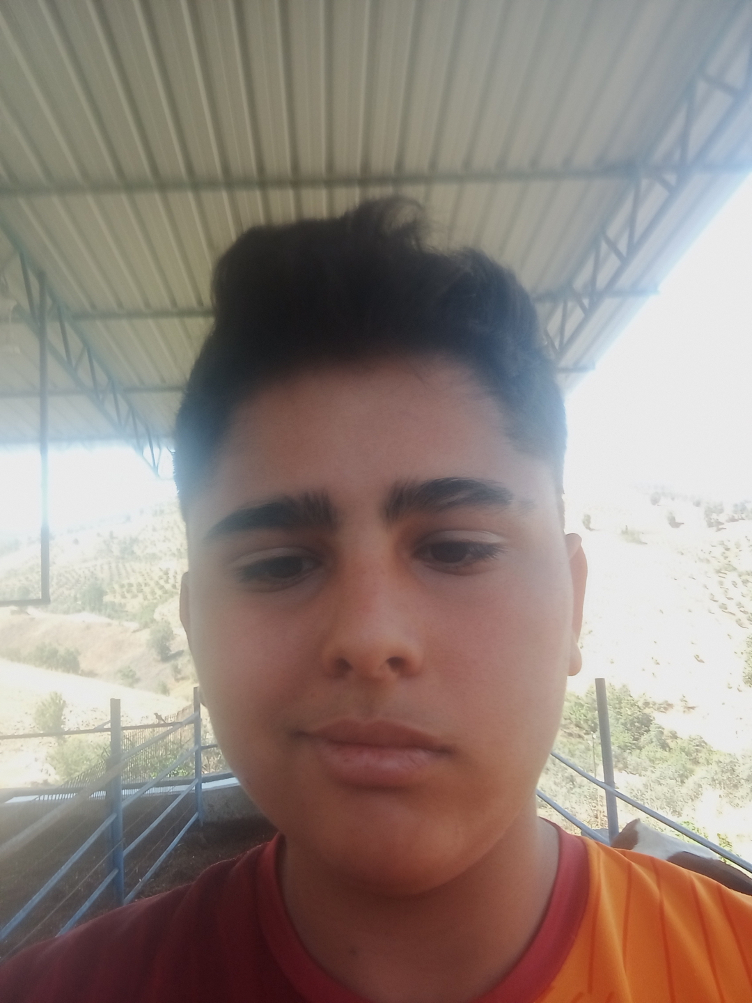 Ali