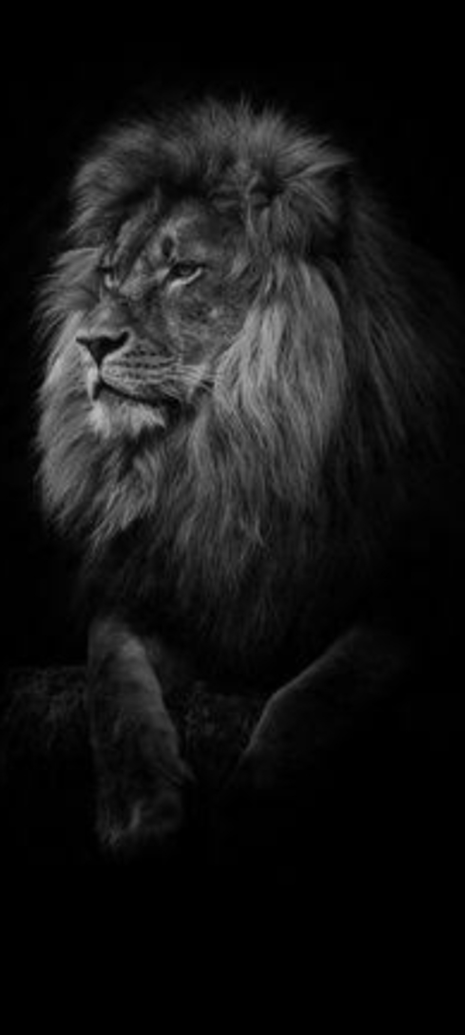 Aslan