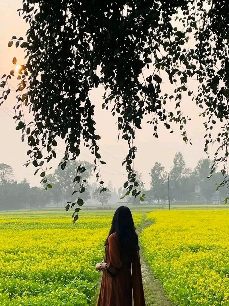 Nisha