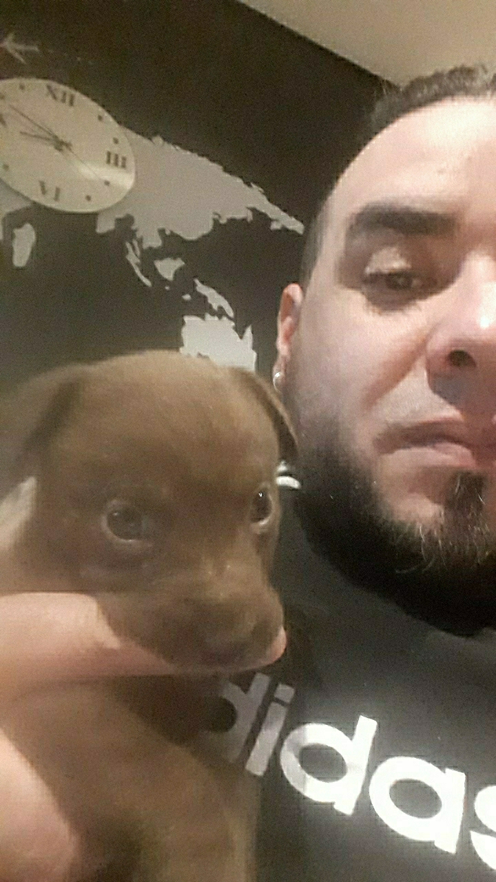 José