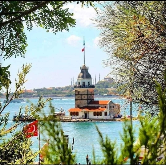 Menekşe