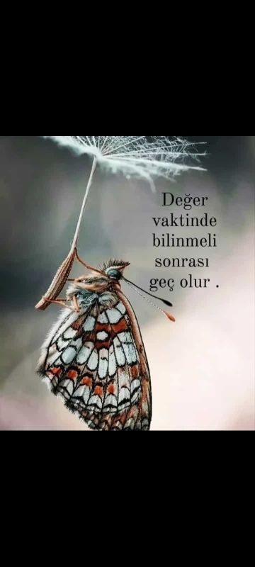 Tarkan