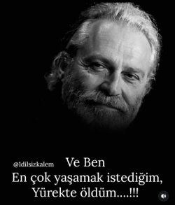 Muberra