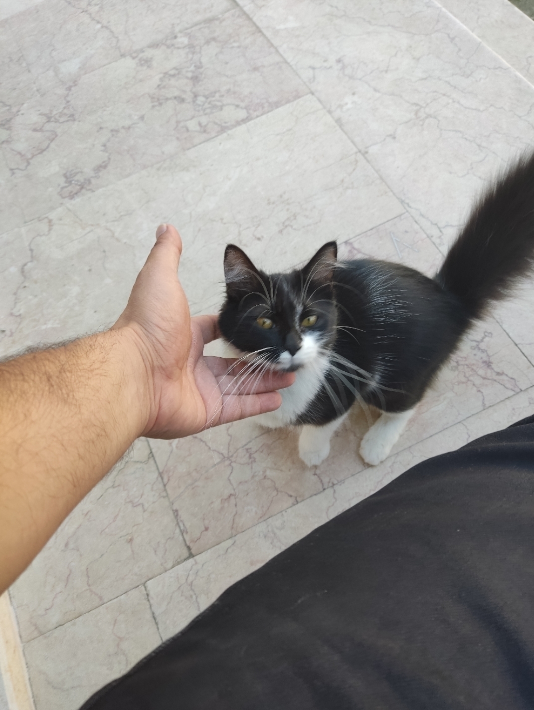 Tuna