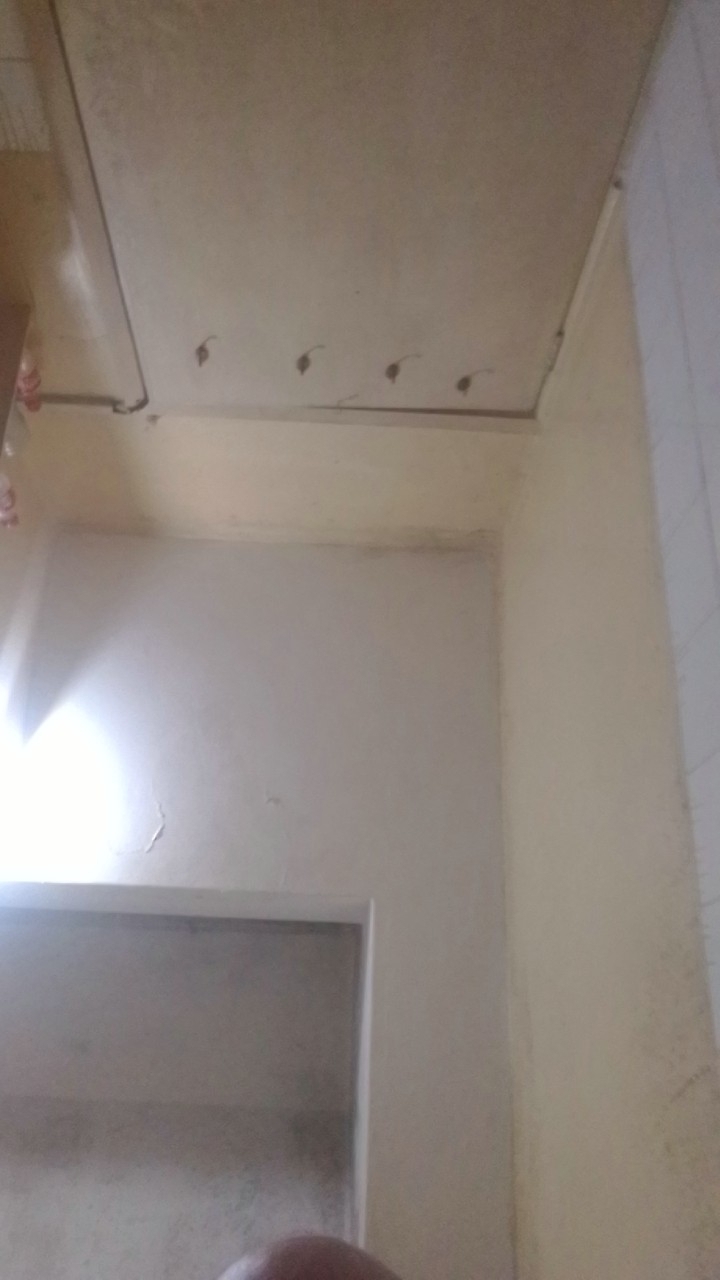 Amit