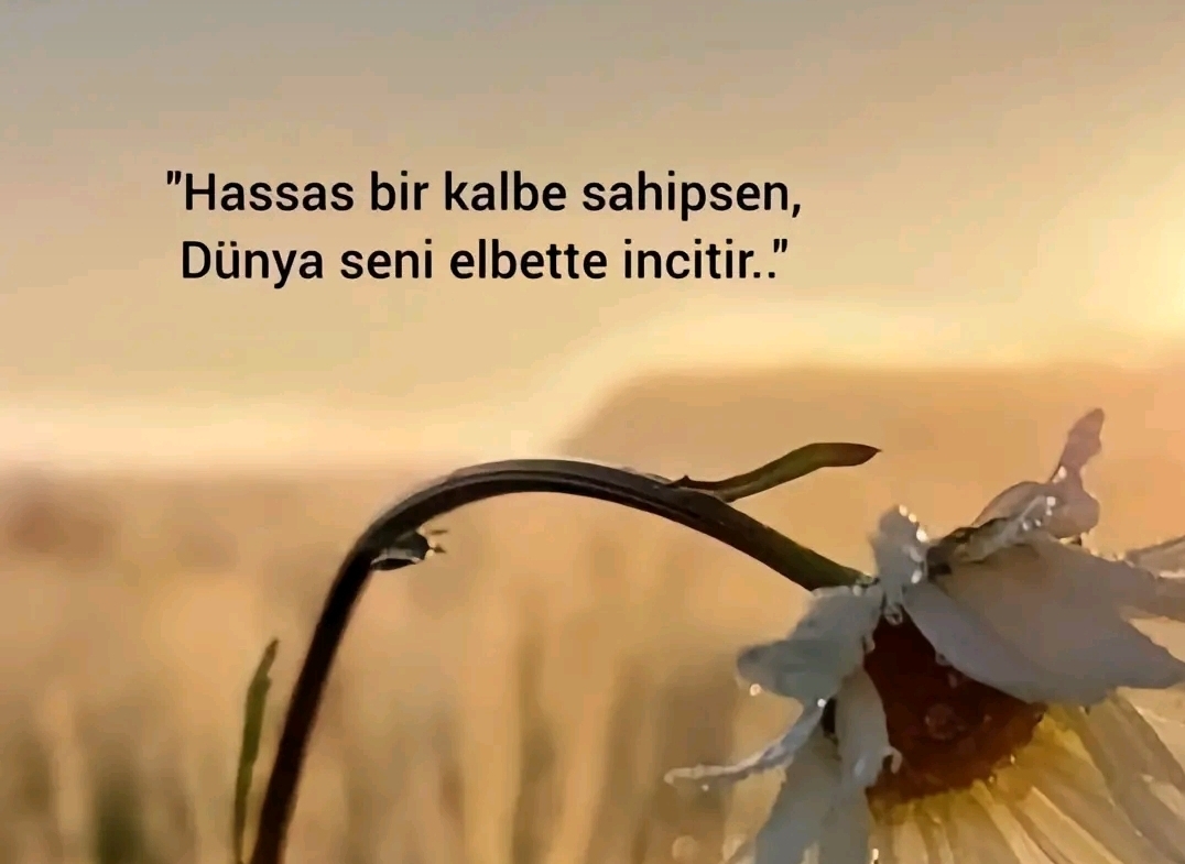 Rabia