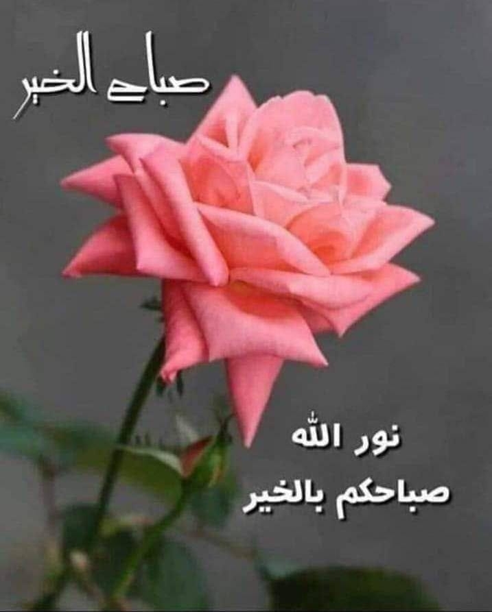 مصطفى