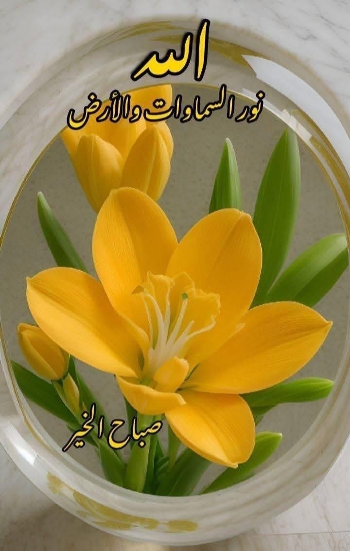 عمار