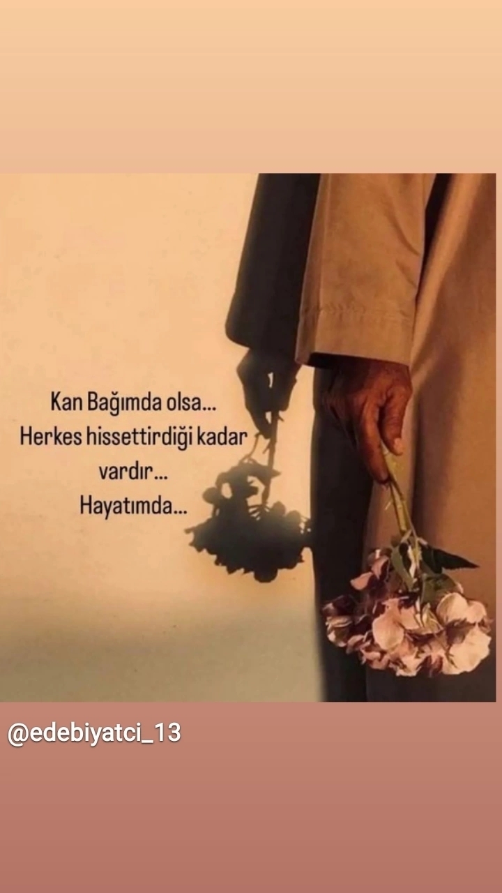 Aysel