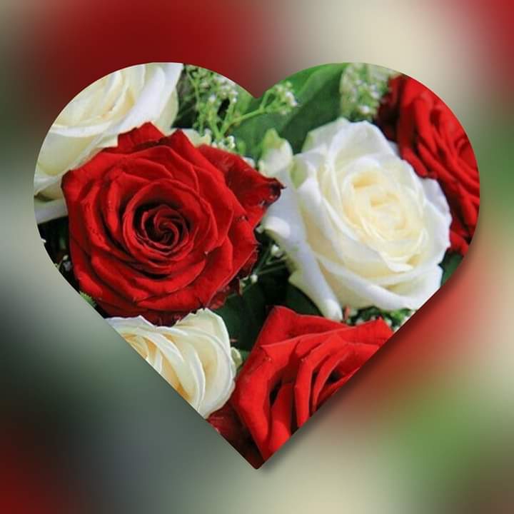 Gülsüm