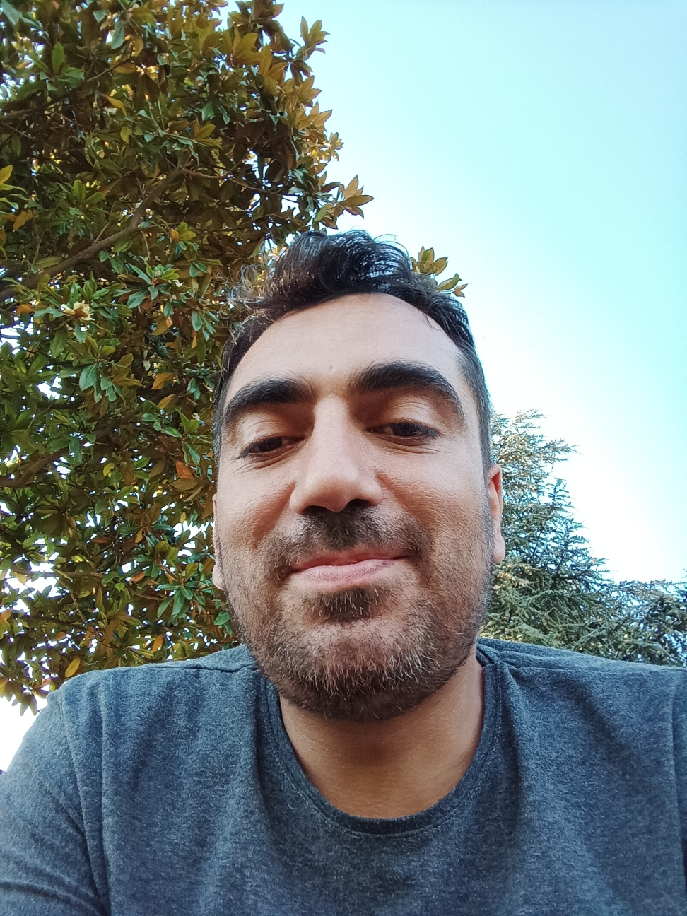 Remzi