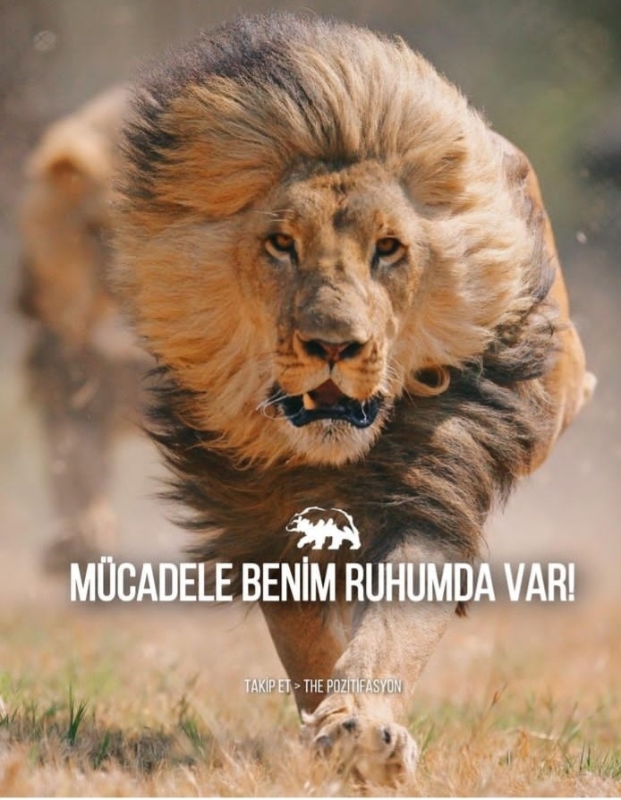 sinan