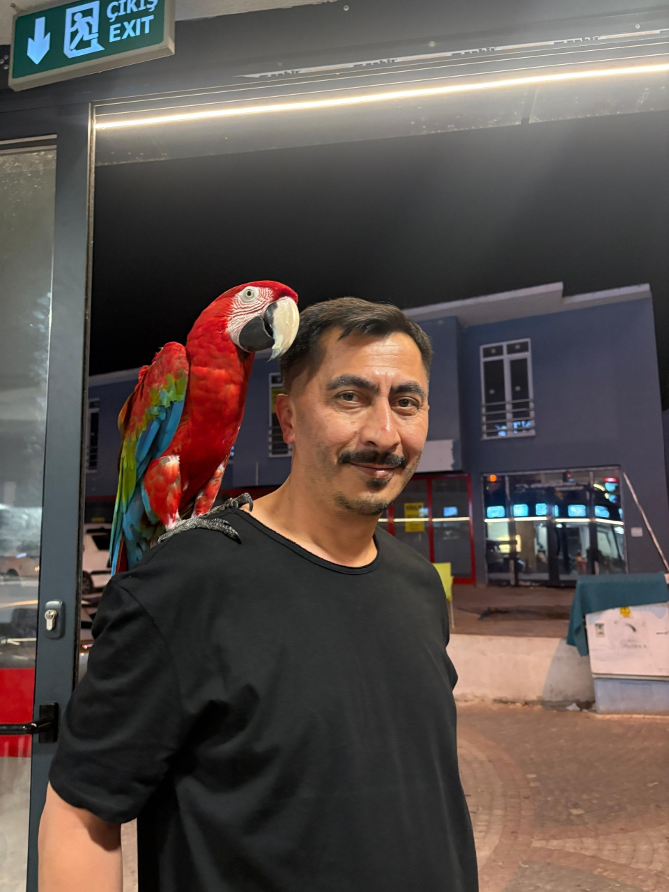 Selcuk