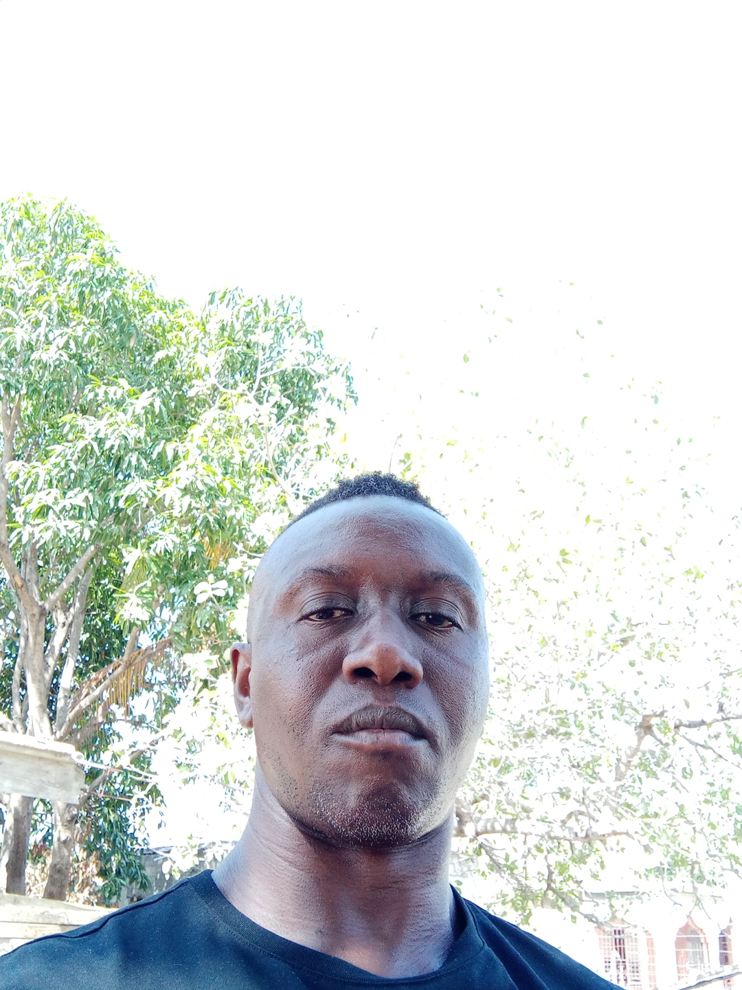 Lincon