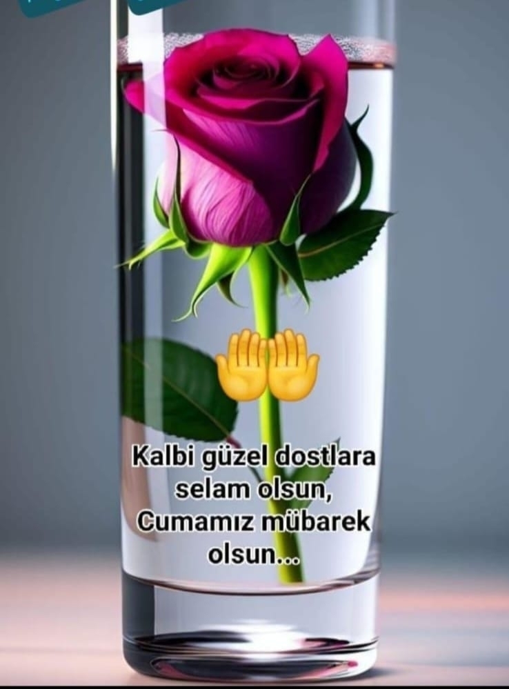 Hasan