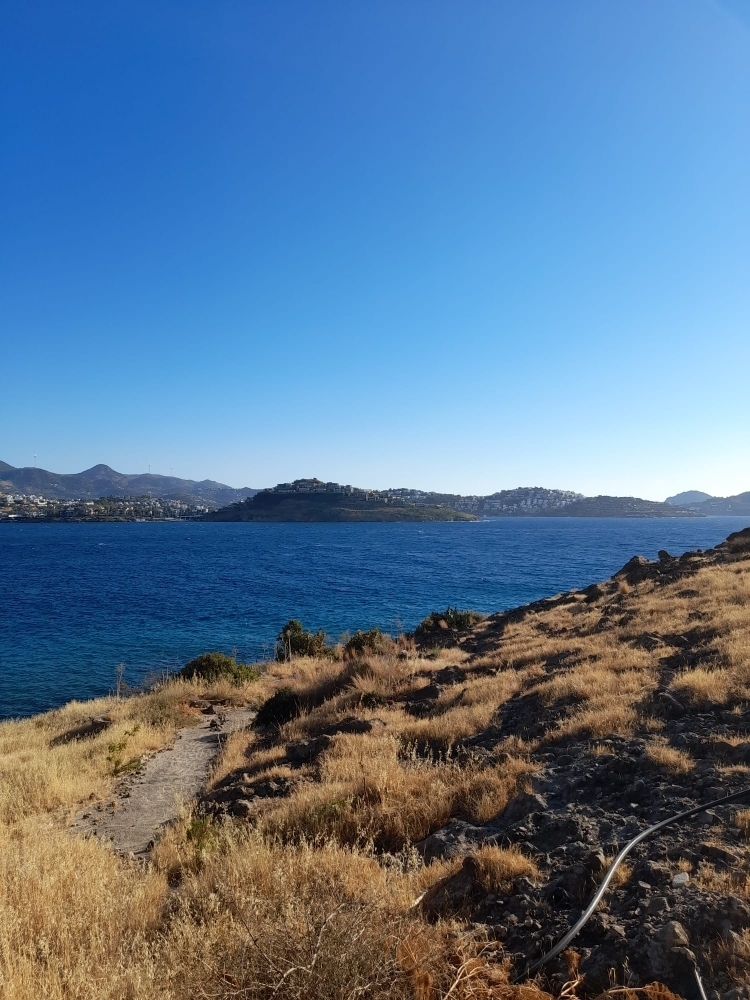 Deniz