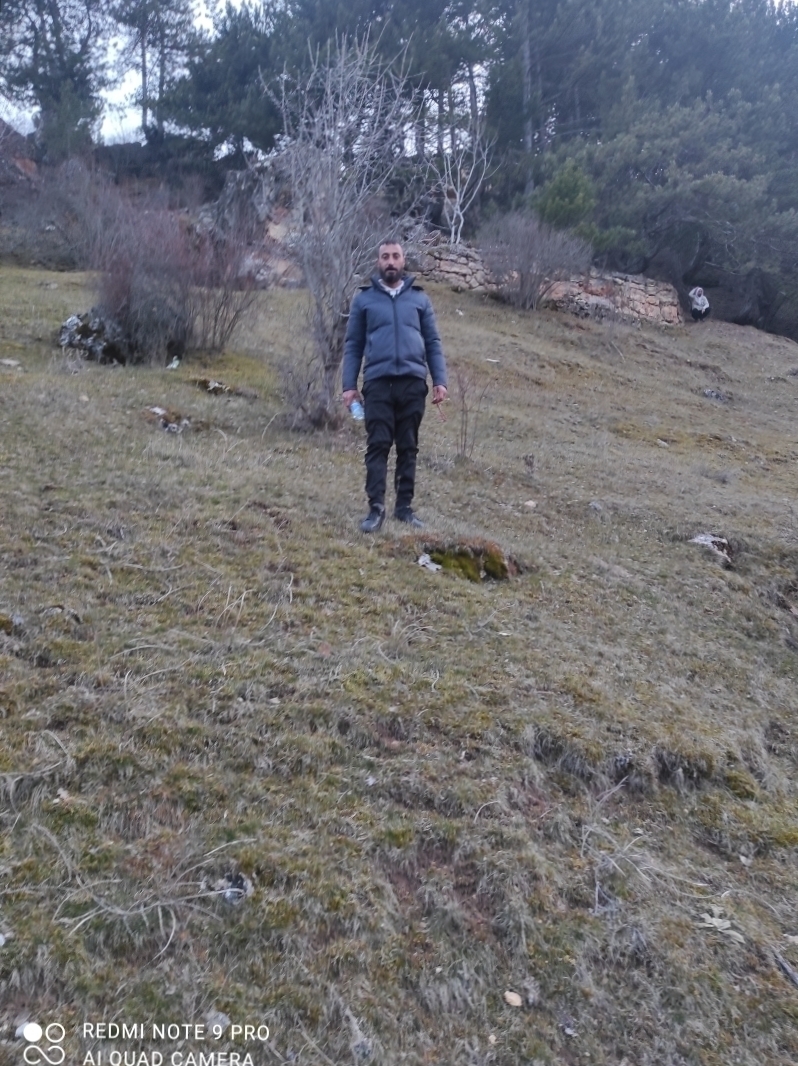 Haydar