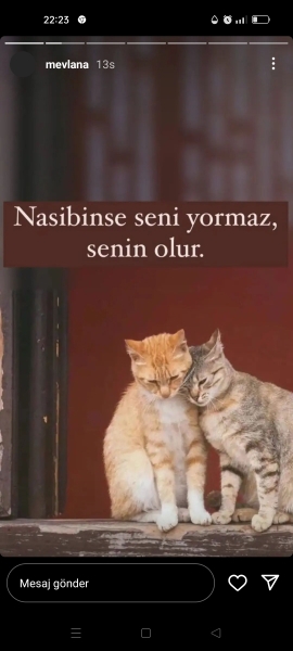 Hatice