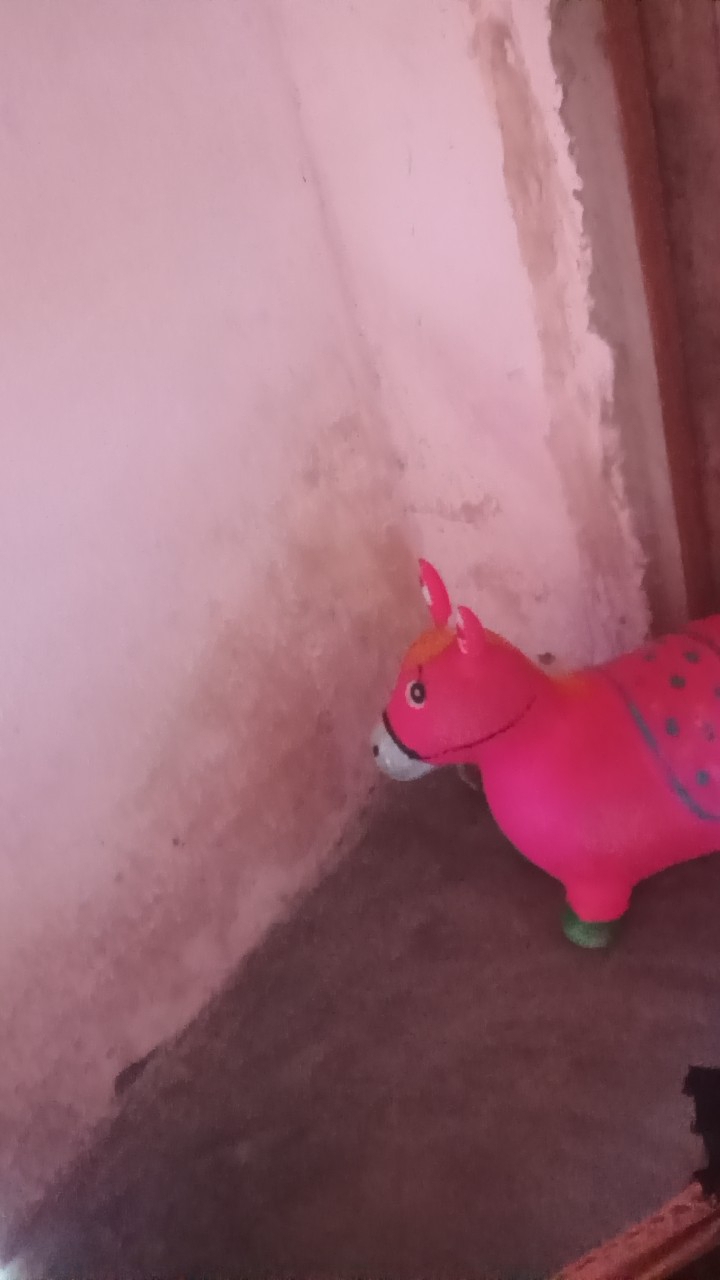 Glaucia