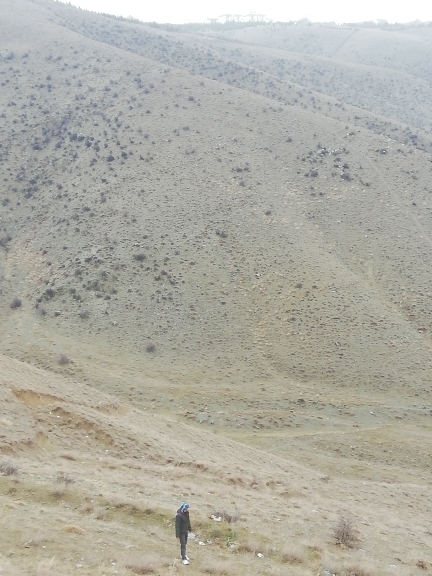 Cemaynur