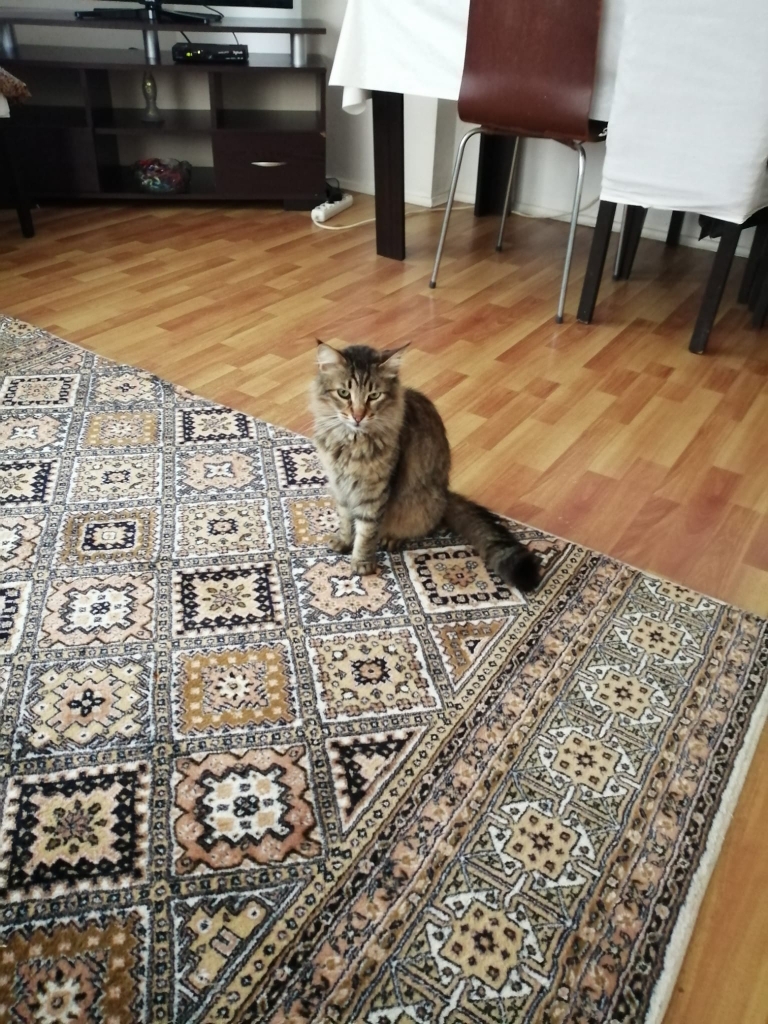 Dilara