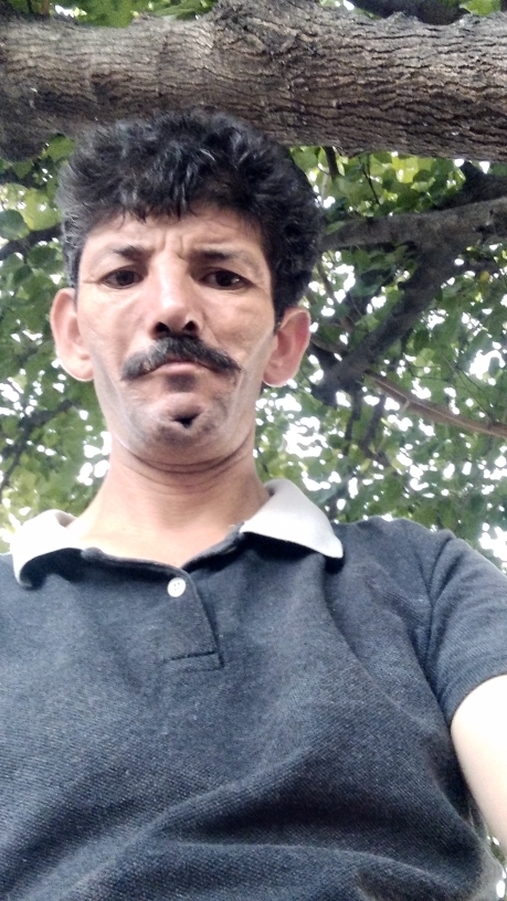 Ali