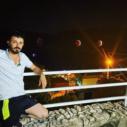 Şahin