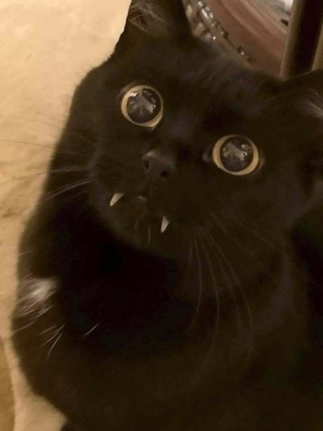 Lu