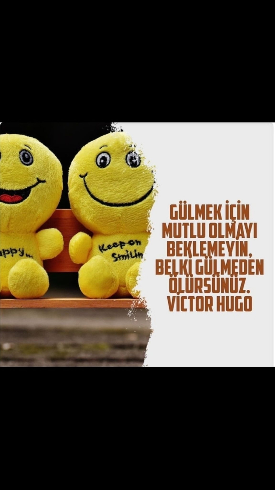 Dönüş