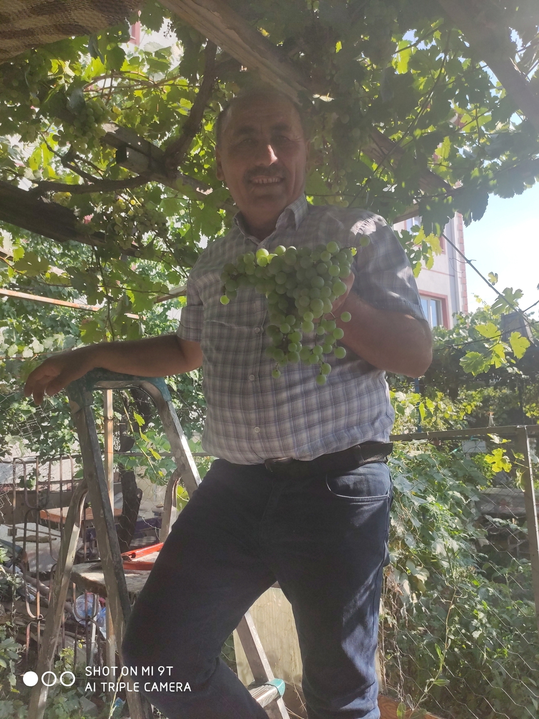 Ertuğrul