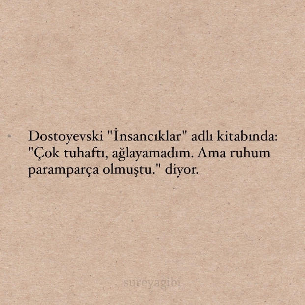 Sevde