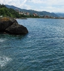 Özlem