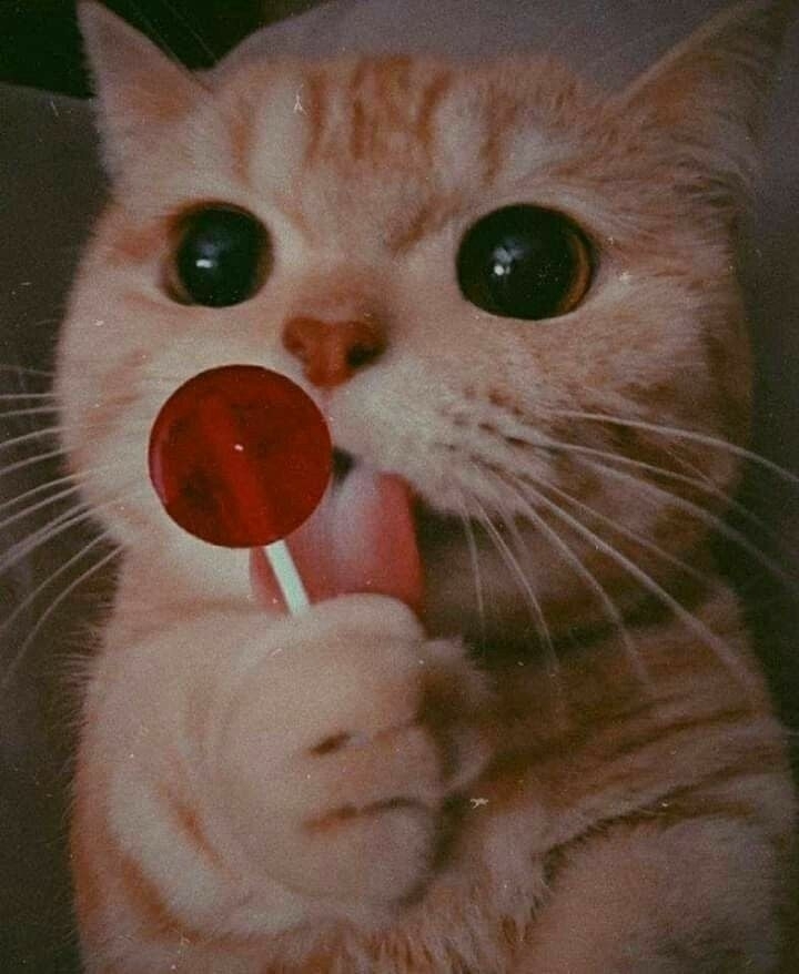 ساره