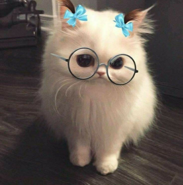 Yeşim
