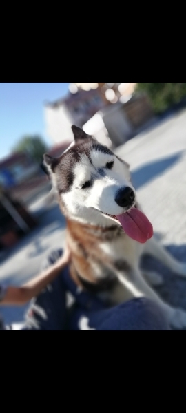 DENİZ