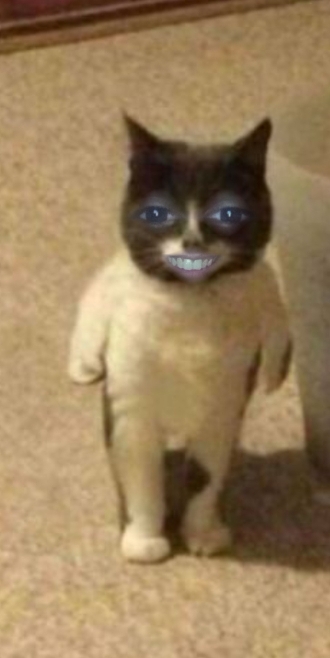Berk