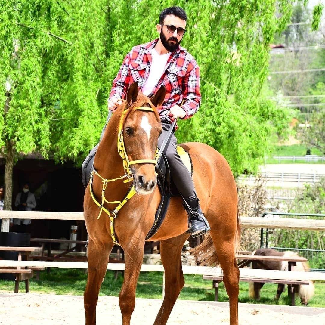 Murat