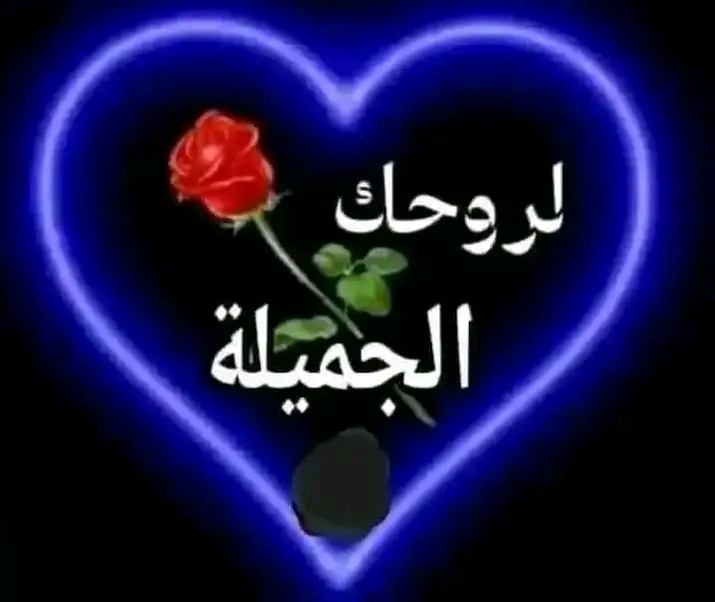 ابو