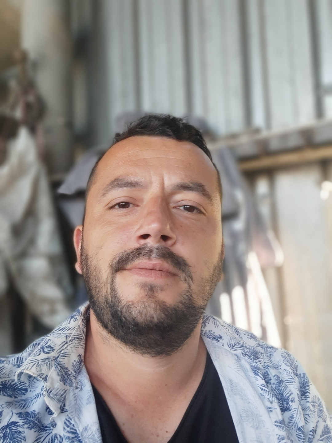 Barış