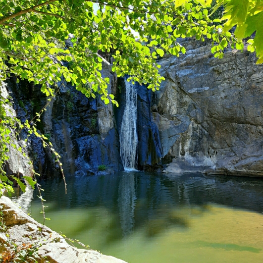 Sevgi