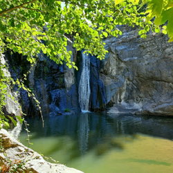 Sevgi