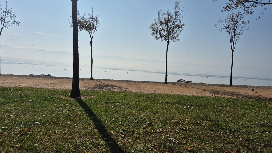Hava