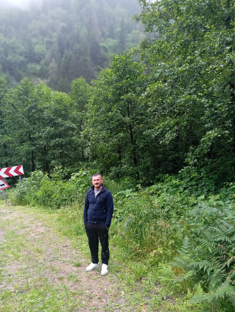 Ayhan